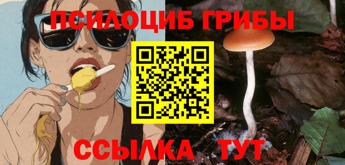Псилоцибиновые грибы ЛСД  Вход с VPN  Псилоцибиновые грибы мицелий  Рубцовск 