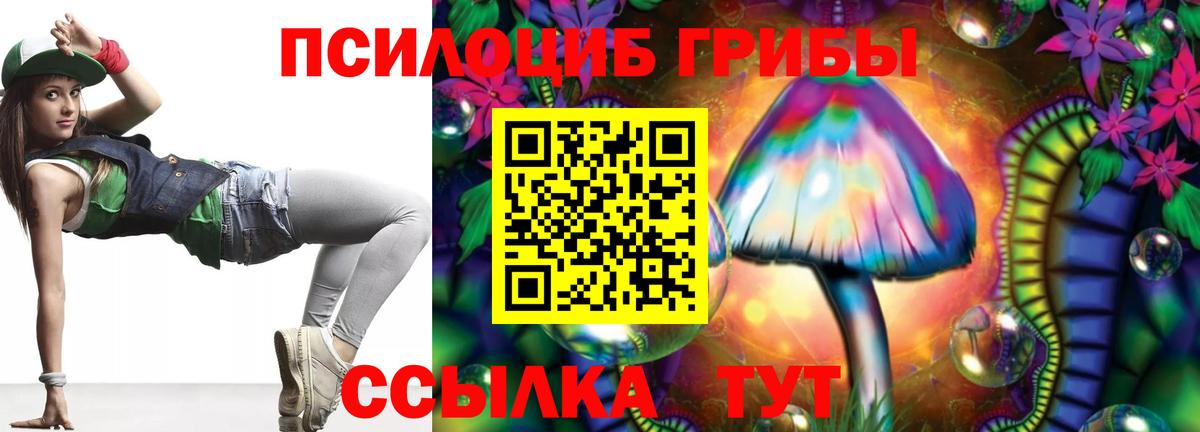 Псилоцибиновые грибы прущие грибы Рубцовск